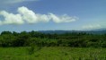 /album/fotogaleria-inicio1/abasolo-chiapas-mexico-145-jpg1/